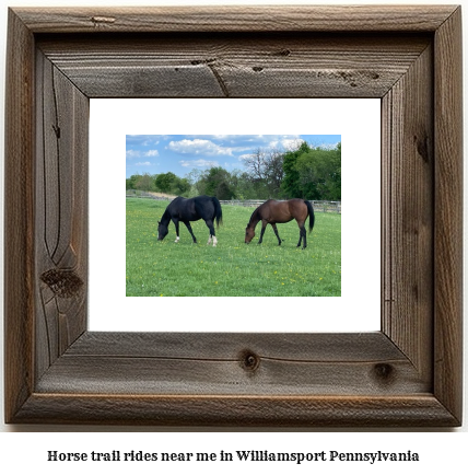 horse trail rides near me in Williamsport, Pennsylvania